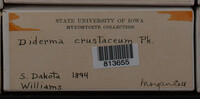 Image Associated With the Occurence